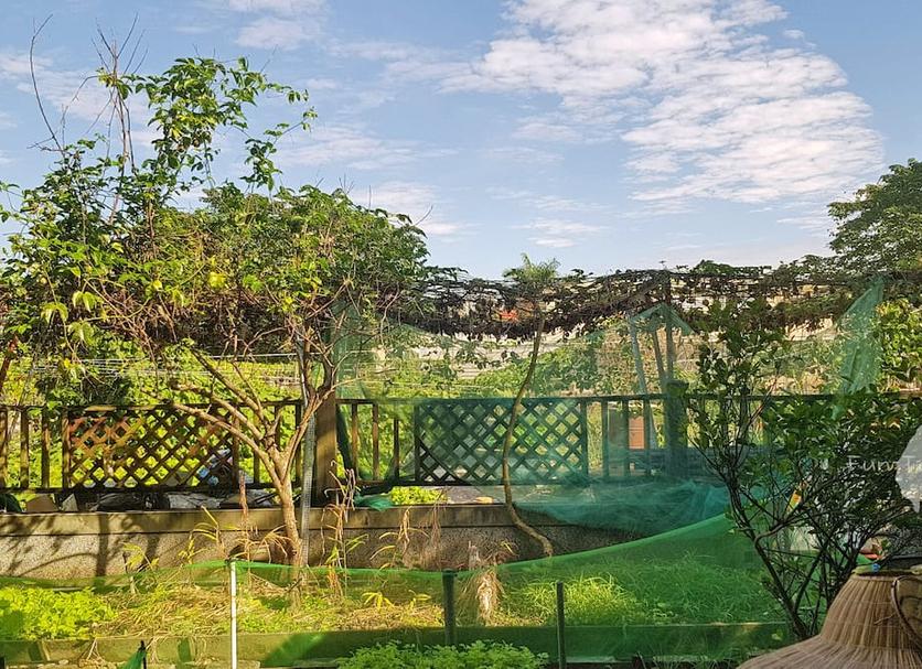 Vista del exterior Foto