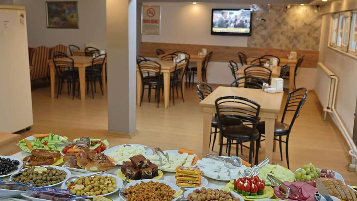 Hotel Altay