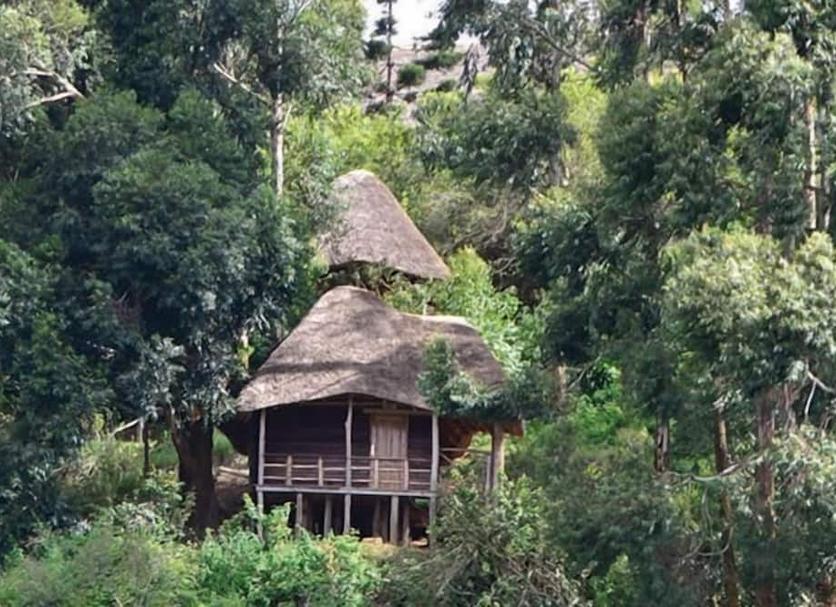 Vista del exterior Foto