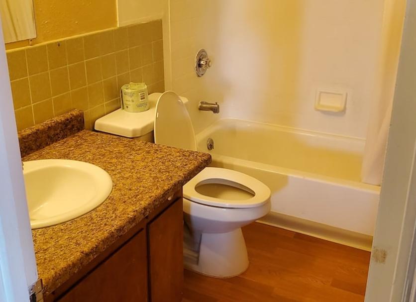 Baño Foto