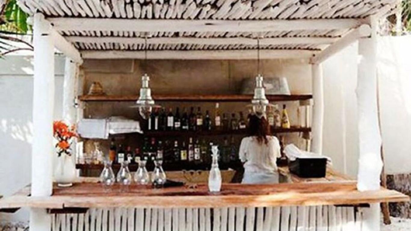 The Urban Jungle Hostel