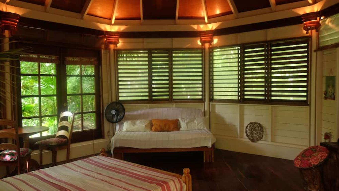 Jungle Cocoon