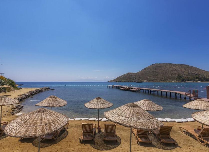 Playa Foto