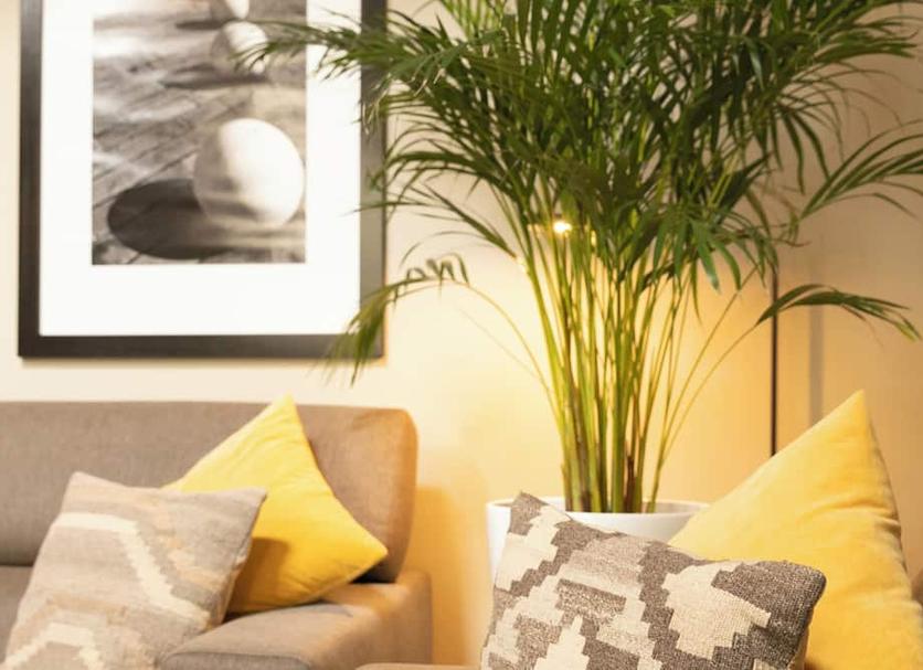 Servicio de la habitación Foto