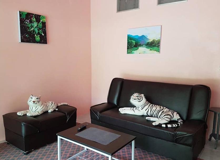 Sala de estar Foto