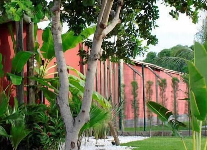 Vista del exterior Foto