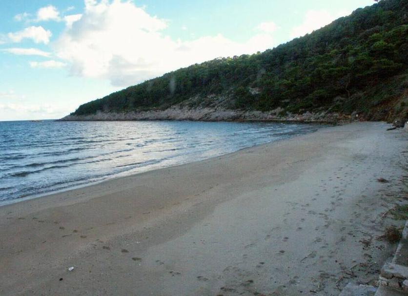 Playa Foto