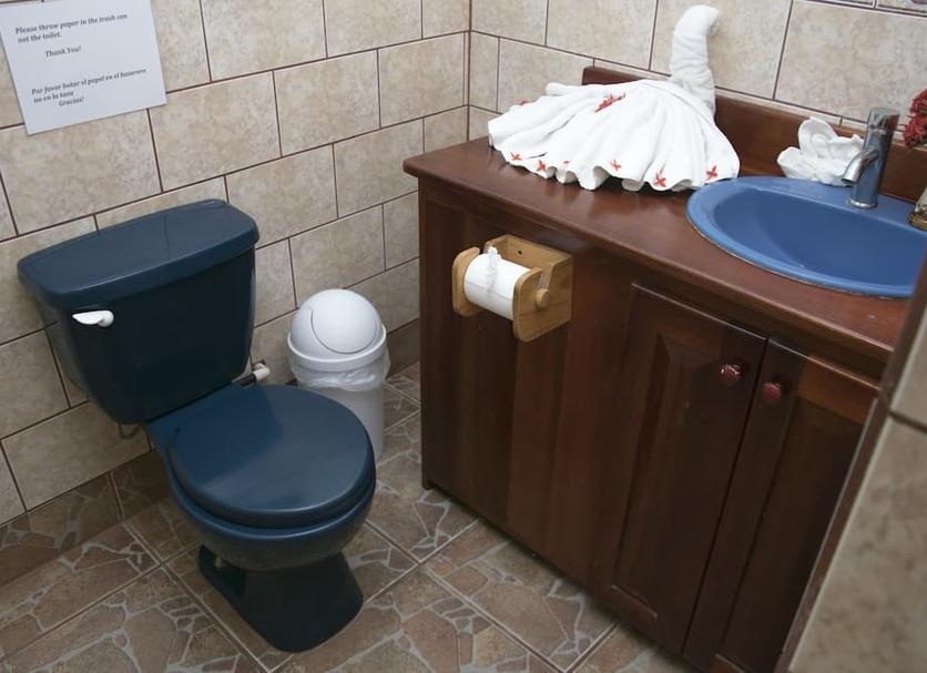 Baño Foto