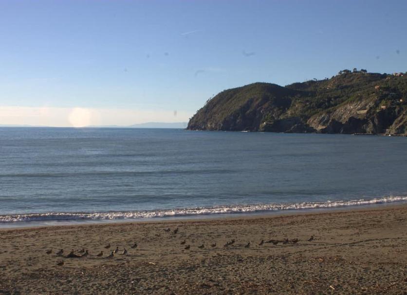 Playa Foto