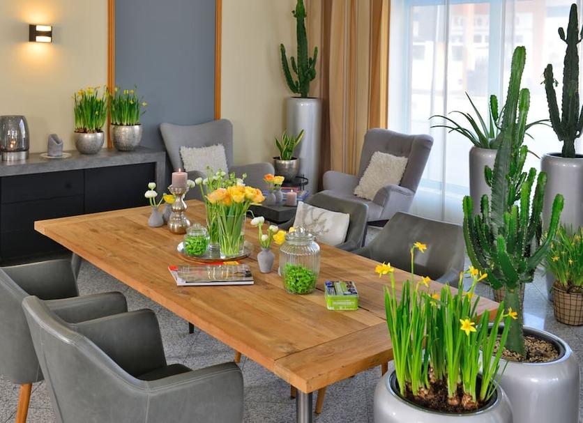Comedor Foto