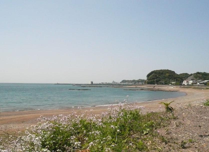 Playa Foto