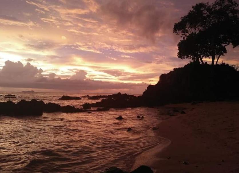 Otros Foto