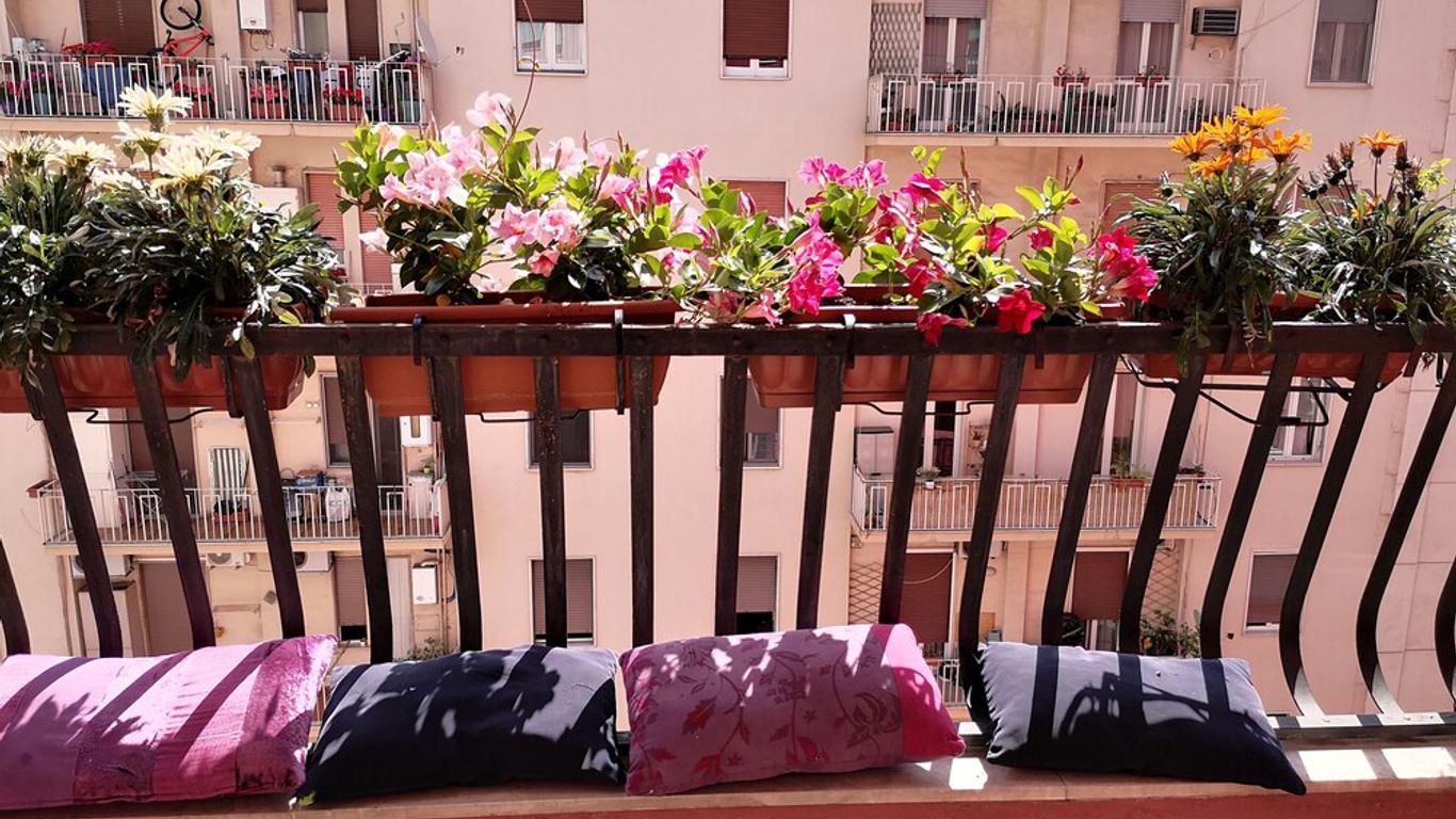 B&B Smiling Naples