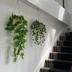 Escaleras