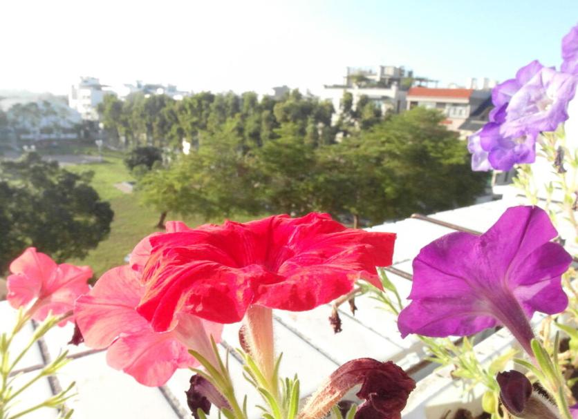 Vista del exterior Foto