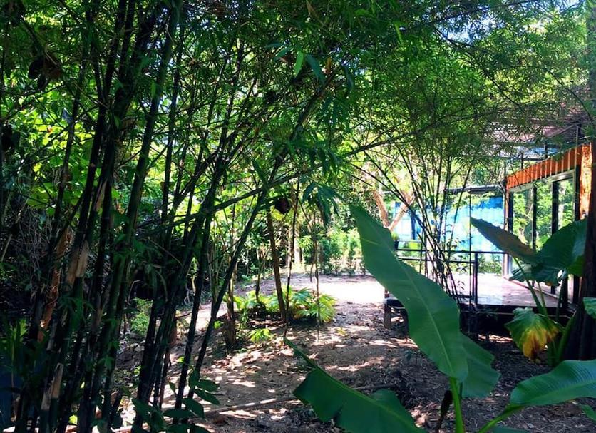 Vista del exterior Foto