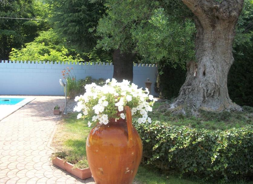 Vista del exterior Foto