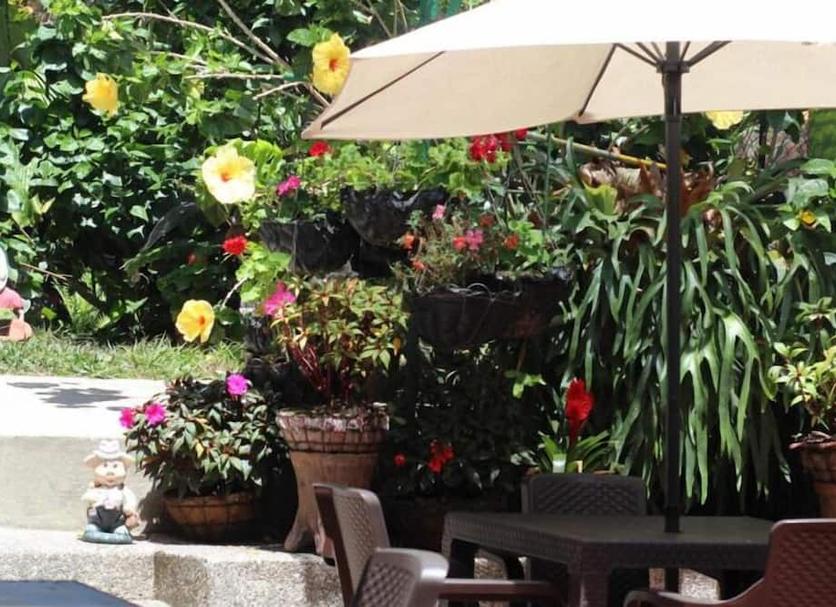 Patio Foto