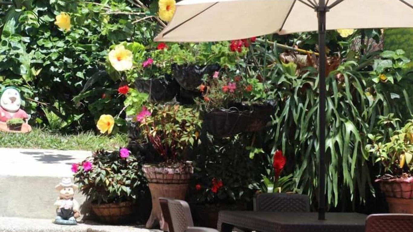 Aroma Cafetera