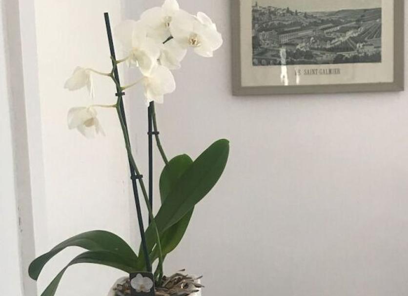 Servicio de la habitación Foto