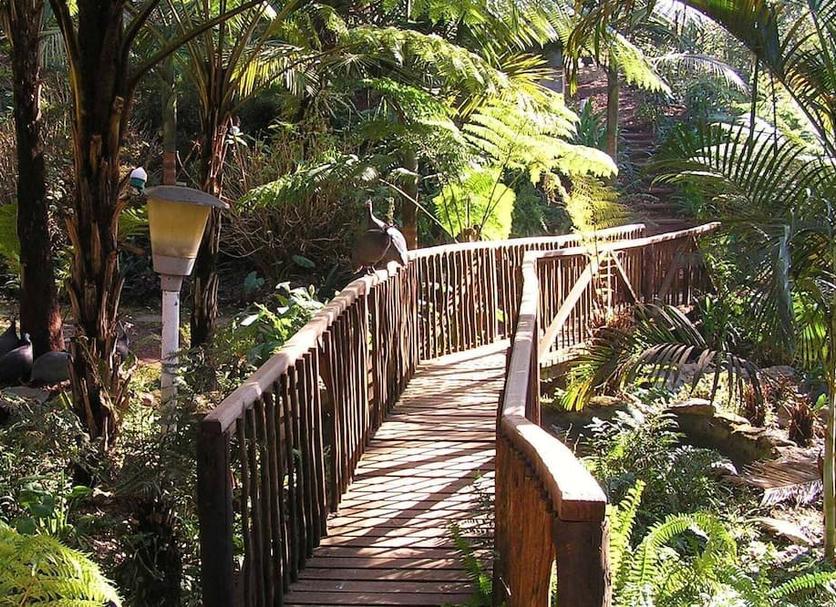 Vista del exterior Foto