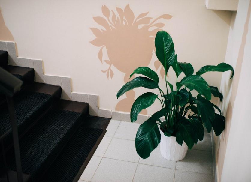 Escaleras Foto