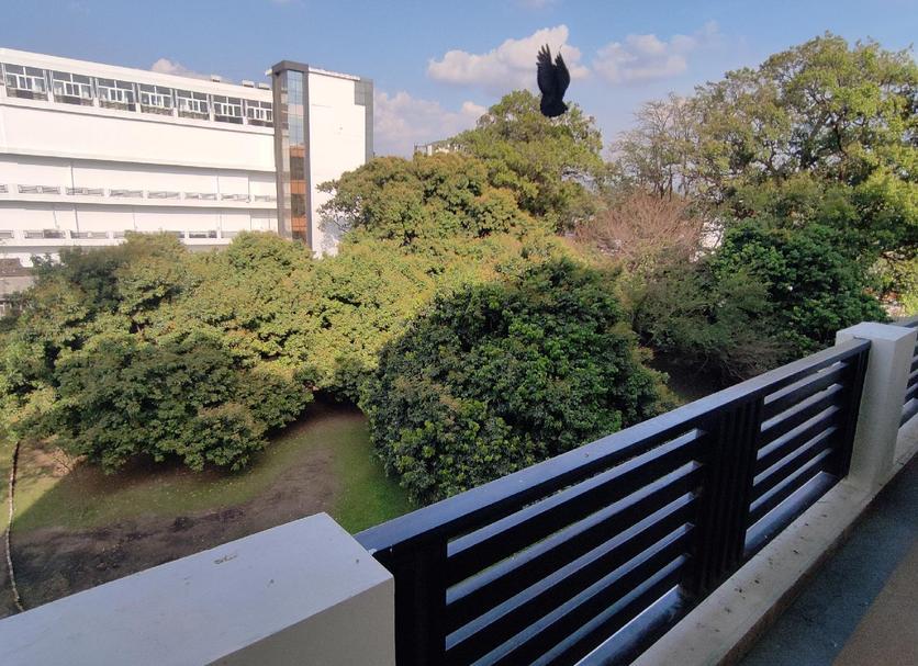 Balcón Foto