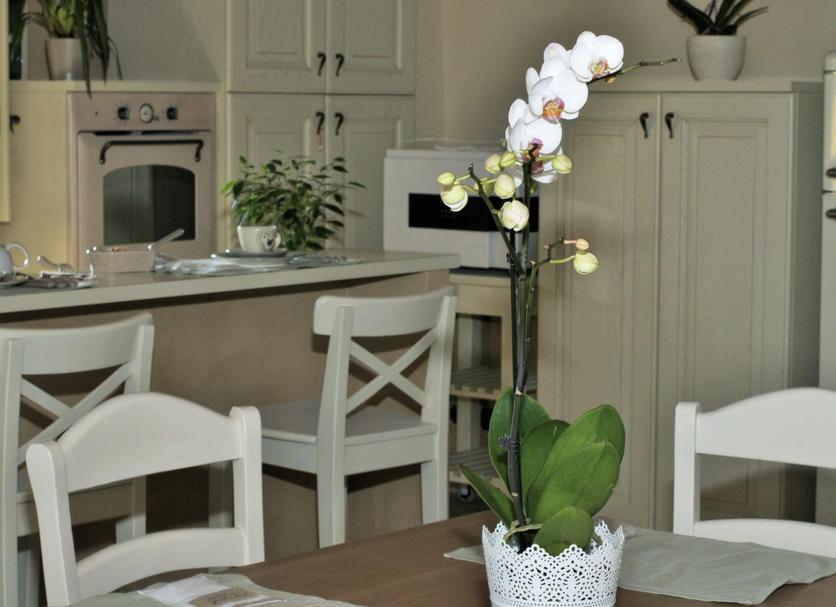 Comedor Foto