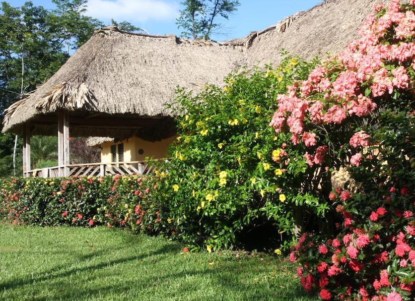 Vista del exterior Foto