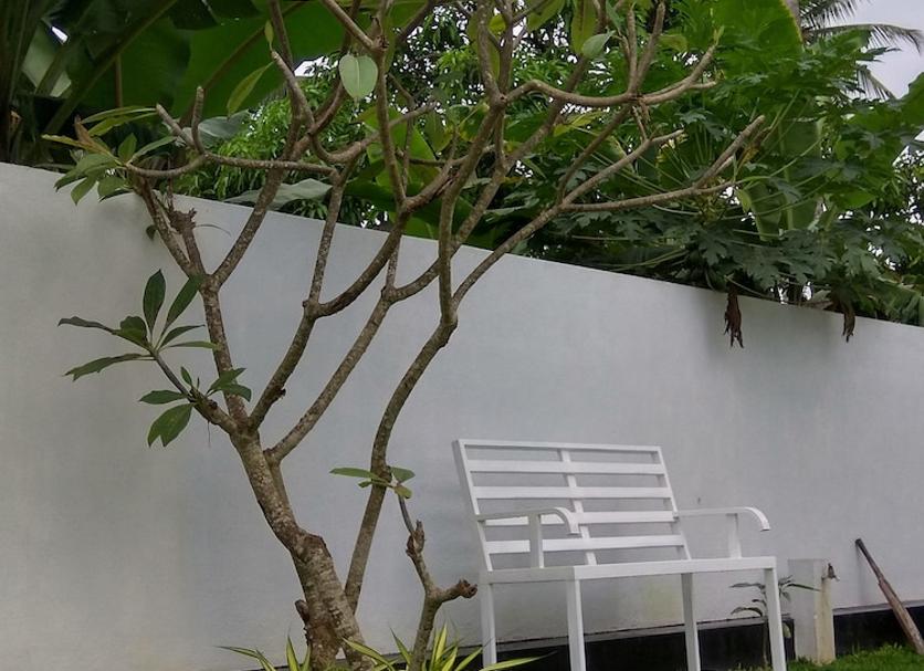 Vista del exterior Foto