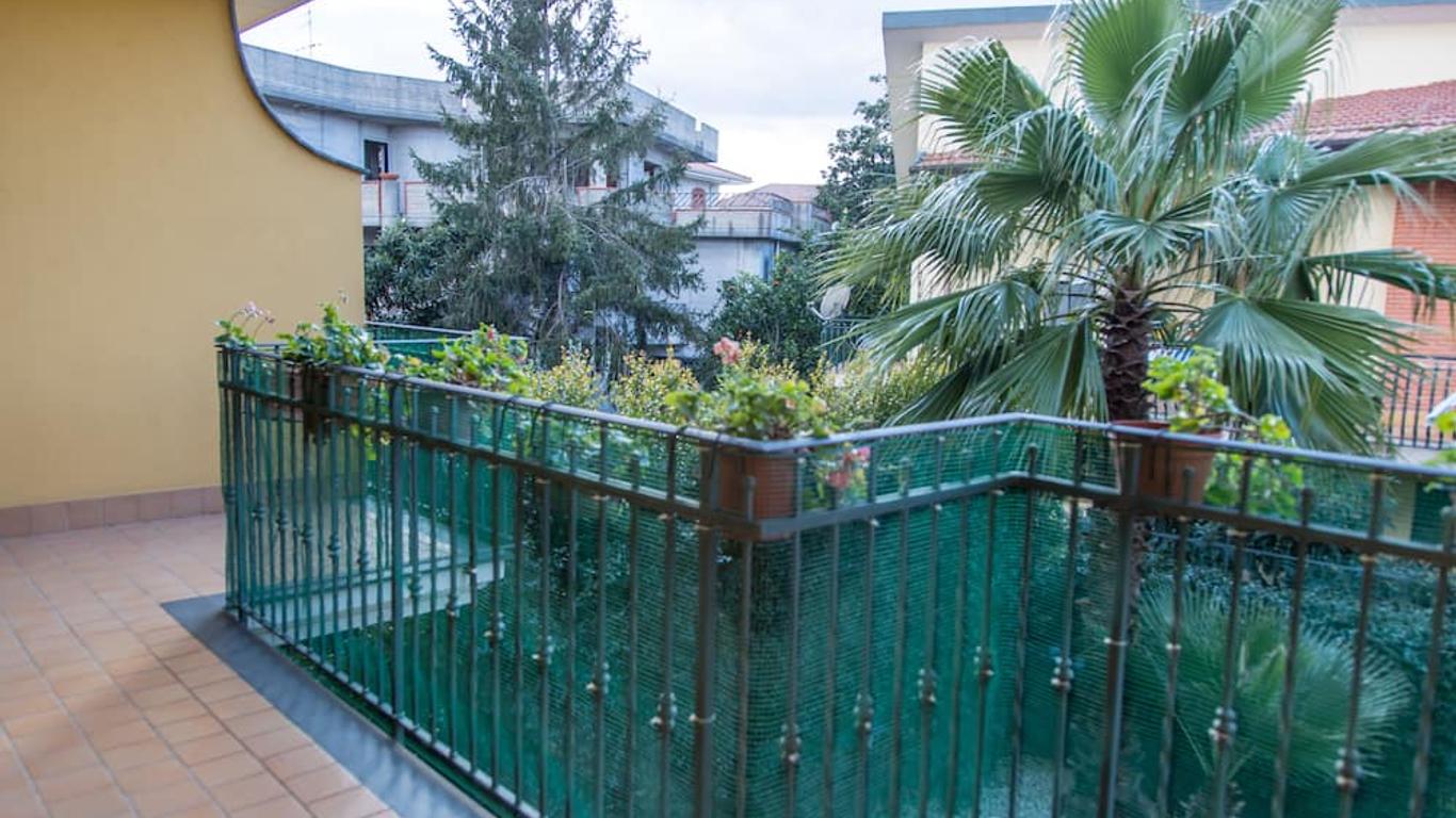 Gli Ulivi Dell'Etna