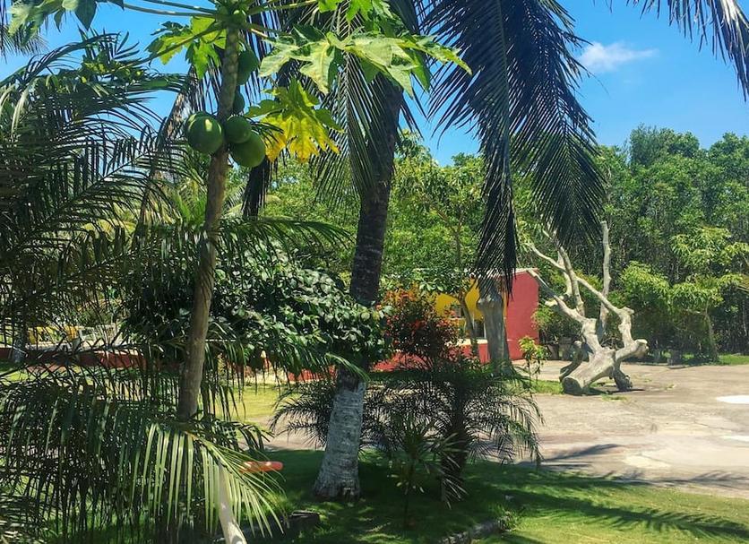 Vista del exterior Foto
