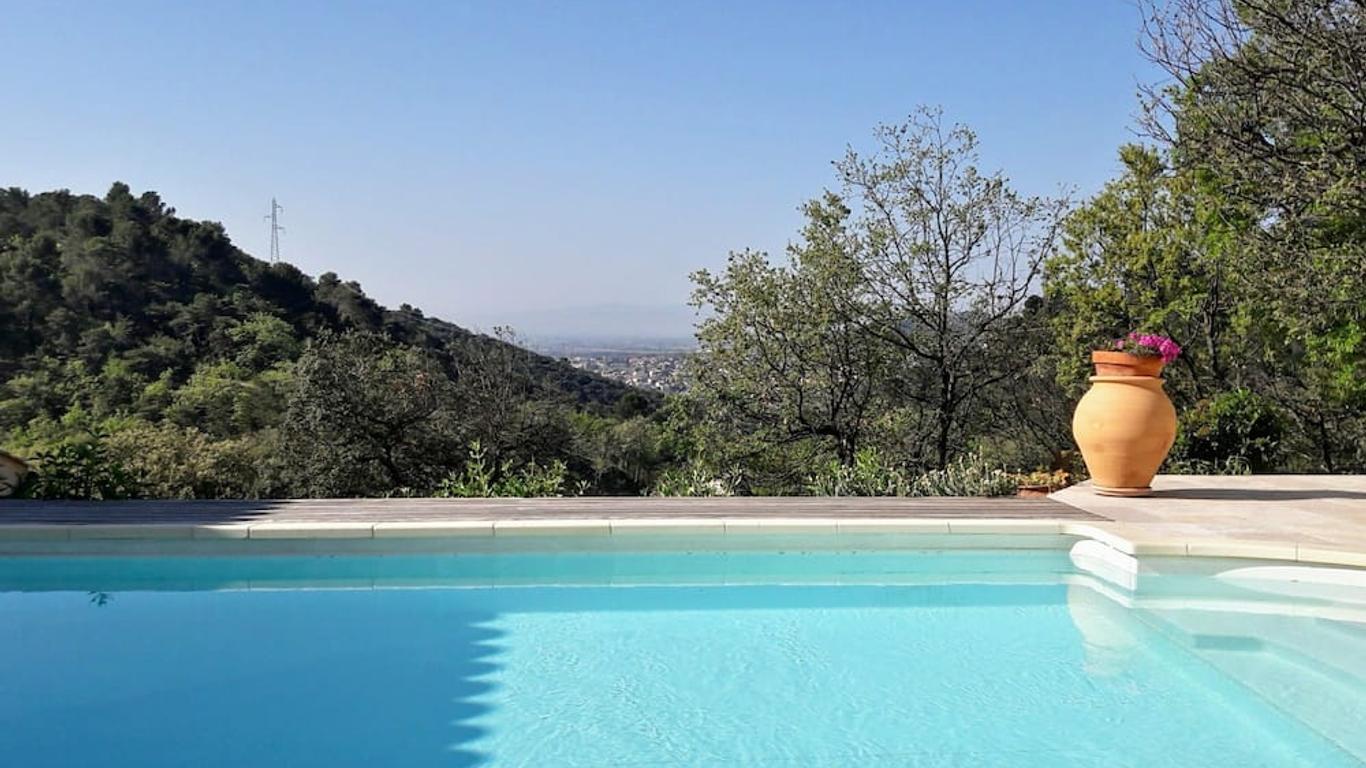 Provence Dodo