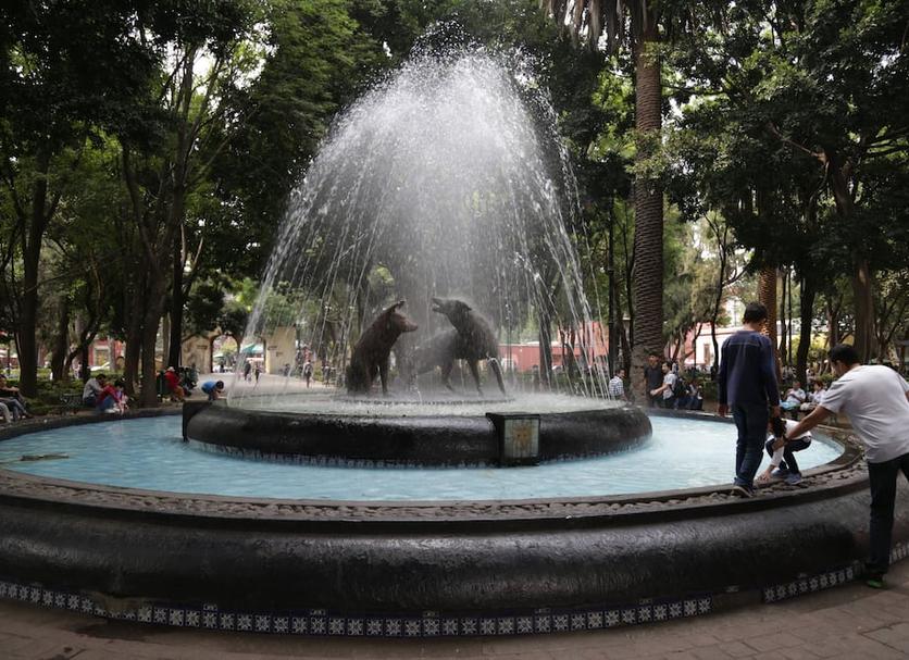 Otros Foto