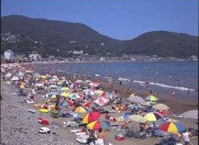 Otros Foto