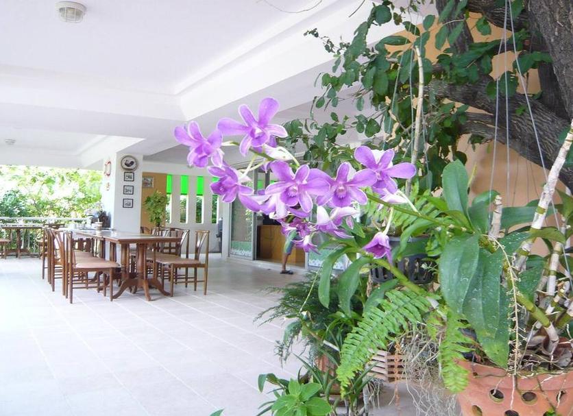 Patio Foto