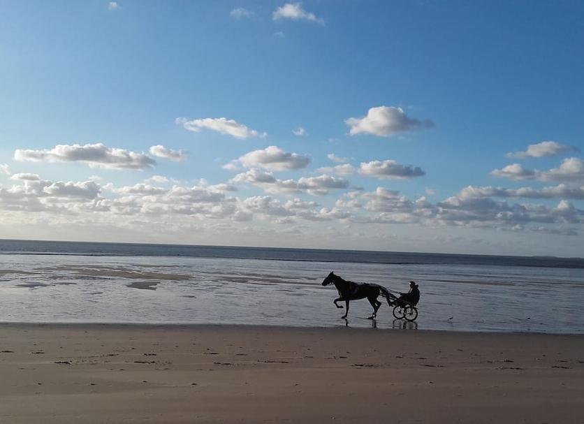 Playa Foto