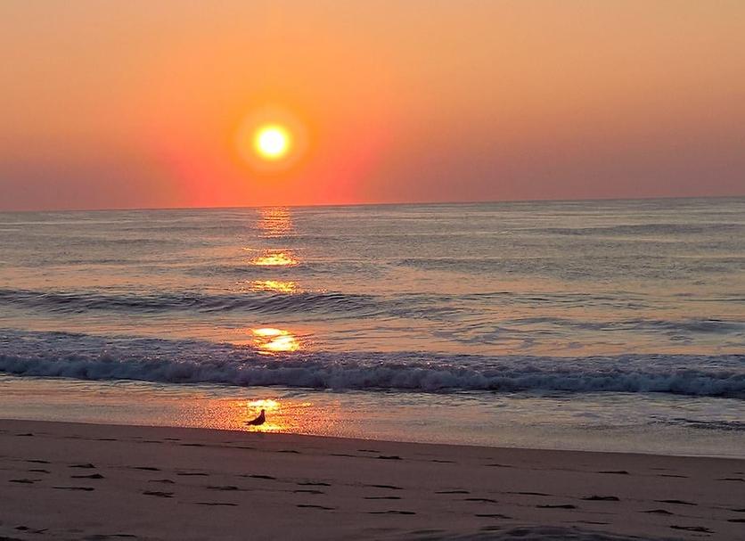 Playa Foto