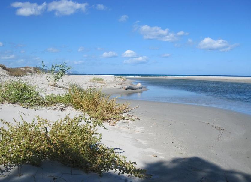 Playa Foto
