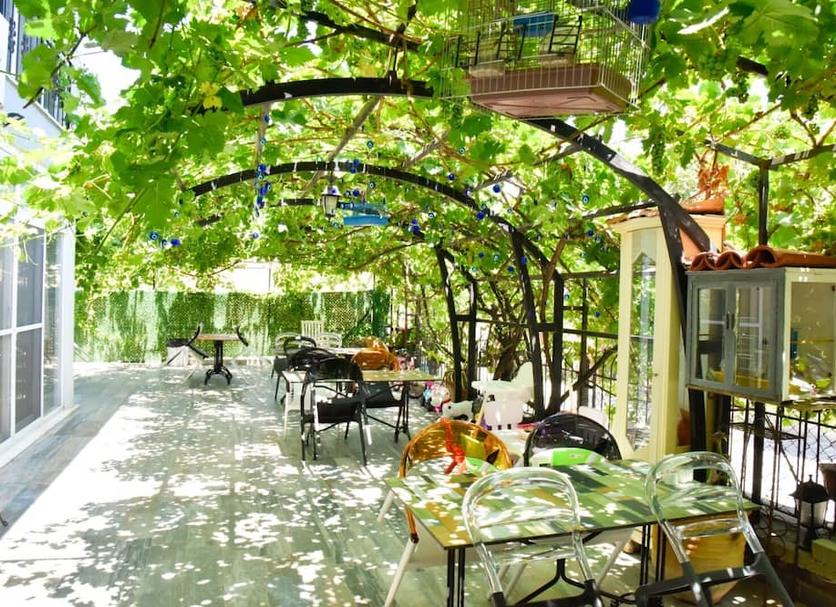 Patio Foto