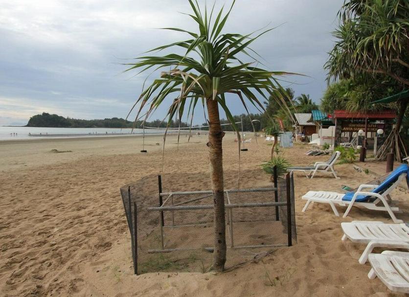 Playa Foto