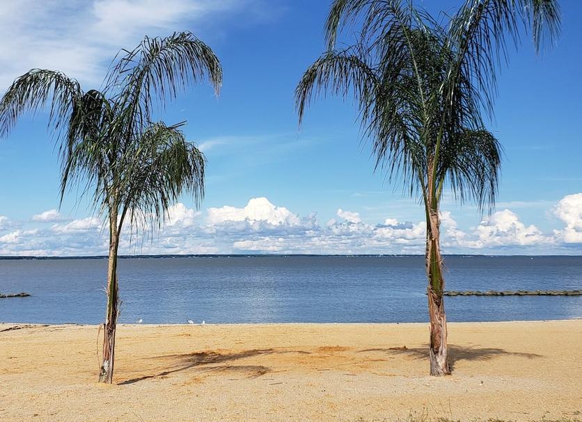 Playa Foto