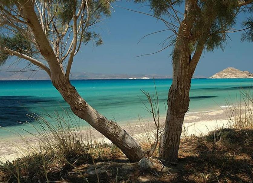 Playa Foto