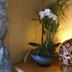 Decoración