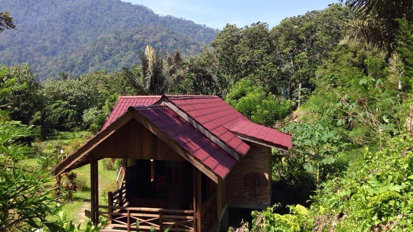 Thousand hills ketambe ,room and treking