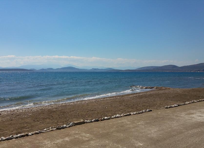 Playa Foto