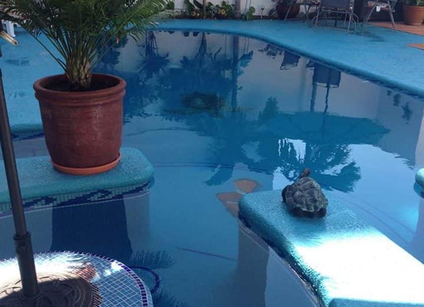 Piscina Foto