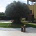 Vista del exterior
