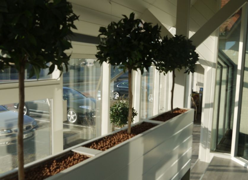 Entrada del hotel Foto