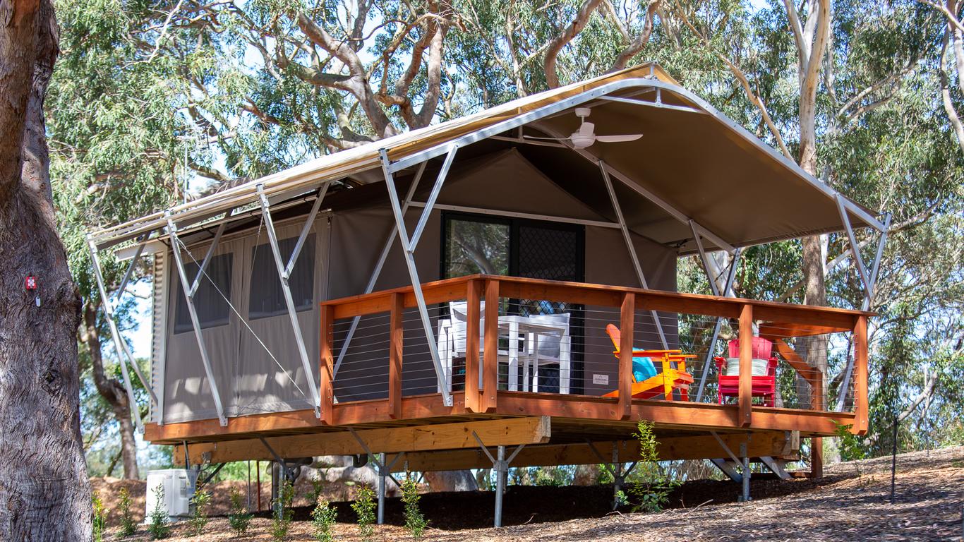 Port Stephens Koala Sanctuary